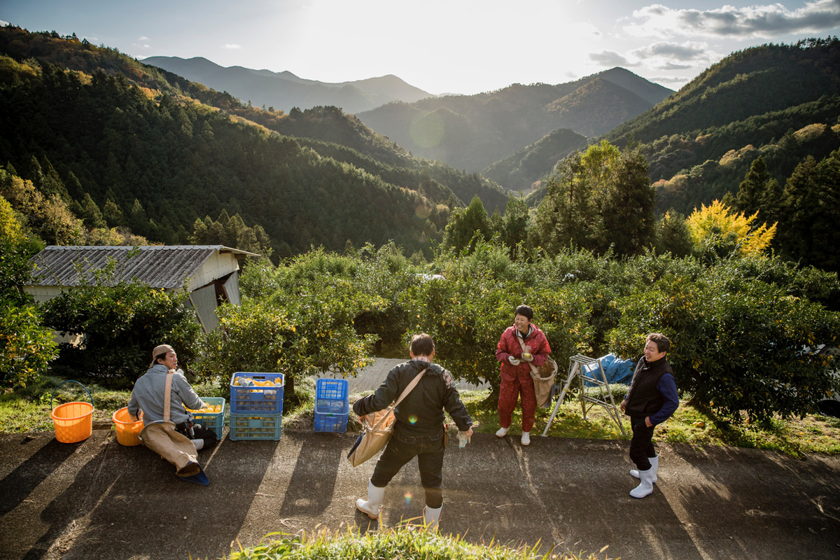 西予市産ゆず果汁（冷凍） | Seiyo Color